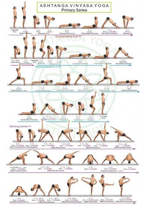 Strong Knees, Ashtanga Yoga Primary Series, Hata Yoga, Yoga Flow Sequence, Yoga Series, Yoga Ashtanga, Balance Yoga, Ashtanga Vinyasa Yoga, Poses For Beginners