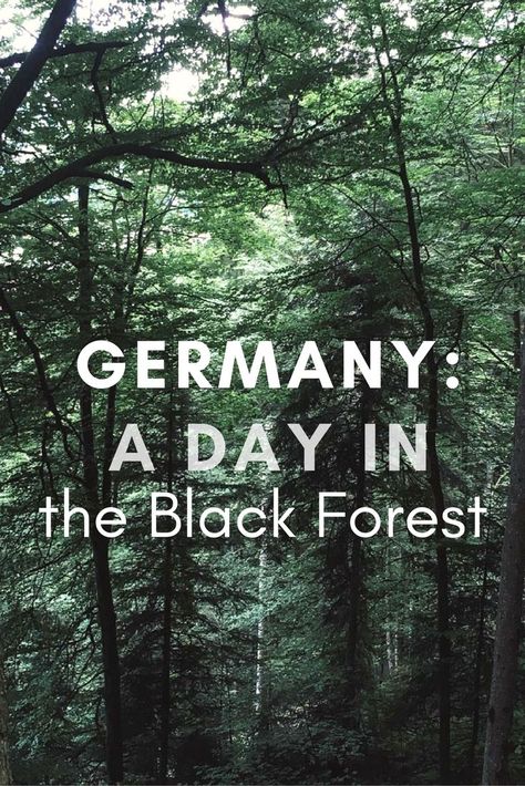 Black Forest Germany, Moving To Germany, The Black Forest, Most Romantic Places, Fall Hiking, Going Places, Gorgeous Sunset, Solo Female Travel, Cultural Experience