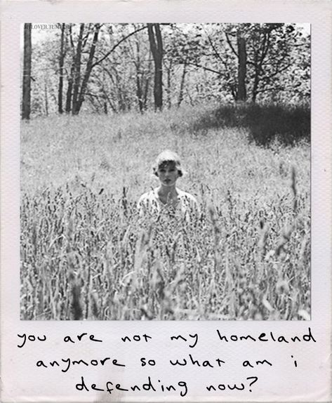 you are not my homeland postcard lyrics folklore taylor swift Seven Taylor Swift, Lyrics Taylor Swift, Folklore Era, Taylor Swift Images, Taylor Lyrics, Estilo Taylor Swift, Taylor Swift Posters, Taylor Swift Album, Taylor Swift Songs