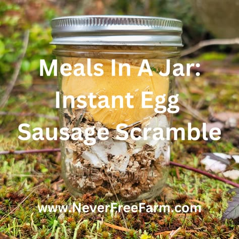 Having meals in a jar ready to use means you have stocked long-term meal storage planning. If you take the time to plan out easy-to-make meals, you will have comfort food prepared to make when need… Meals In A Jar For Long Term Storage, Freeze Dried Meals In A Jar Recipes, Freeze Dried Meals In A Jar, Dehydrating Meals, Drying Onions, Freeze Dried Meals, Emergency Meals, Canning Preserves, Freeze Dried Food Storage