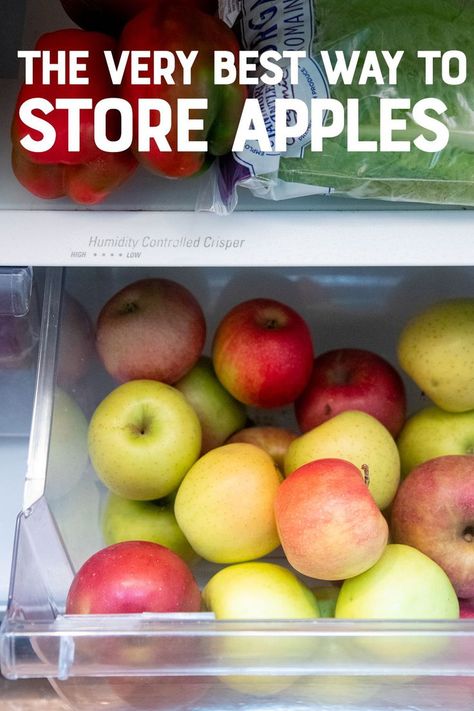 How To Store Apples, Storing Fruit, Canned Apples, Root Cellar, Fruit And Vegetable Storage, Apple Season, Gala Apples, Apple Varieties, Honeycrisp Apples