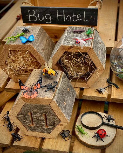 How will you and your Children be spending Earth Hour?🌏🕰 Give an hour for Earth today and spend this time: 🌲In the Forest 🦊Discovering Forest Animals 🌸Working at your Nature Stations 🐞Making Bug Hotels 🪱Discovering Mini Beasts 🪴Planting . #EarthHour #BugHotel #SavingthePlanet Bug Hotel Ideas, Bug Hotels, Mini Beasts, Hotel Ideas, Bug Hotel, Earth Hour, Insect Hotel, Outdoor Learning, Forest Animals