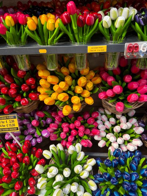 Amsterdam Tulips Aesthetic, Aesthetic Flowers Wallpaper, Wooden Tulips, Tulips Aesthetic, Amsterdam Tulips, Paris Trip, Aesthetic Flowers, Flowers Wallpaper, Paris Travel