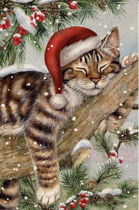 Christmas Kitty Painting, Christmas Animals Wallpaper, Christmas Cats Aesthetic, Christmas Cats Wallpaper, Christmas With Cats, Christmas Cat Wallpaper, Christmas Cat Photos, Cats And Christmas, Cute Christmas Cat