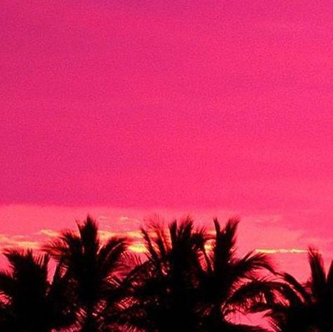 Miami in the 80s on Instagram: "Yes please #neonsunset #miami80s 🌅" 80s Miami Vice Aesthetic, Vintage Miami Aesthetic, 80s Beach Aesthetic, Miami 80s Aesthetic, 80s Miami Aesthetic, Background Rosa, Pink Beach Aesthetic, Miami Vice Aesthetic, Old Miami