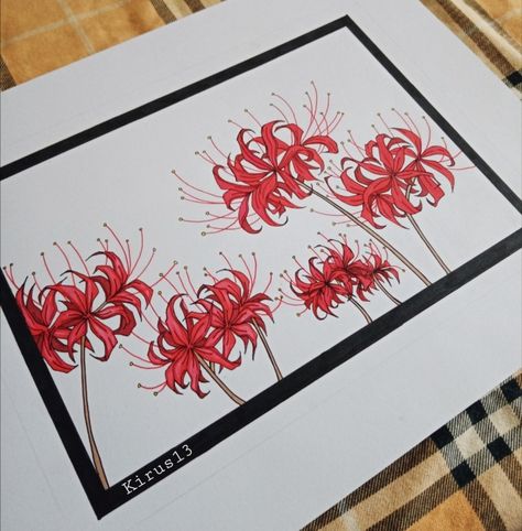 How To Draw Red Spider Lily, Red Spider Lily Drawing Easy, Spider Lily Illustration, Red Spider Lily Painting, Red Spider Lily Drawing, Spider Lily Drawing, Lilies Drawing, Red Spider Lily, Spider Lily