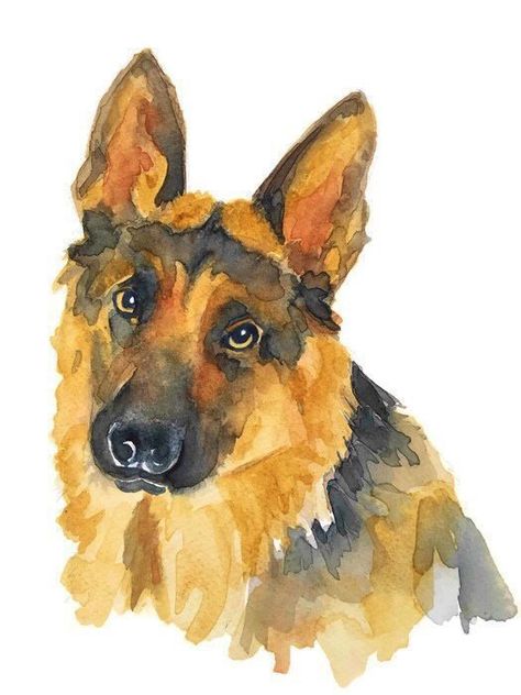 Dog Art German Shepherd, Watercolour German Shepherd, German Shepherd Watercolor Paintings, Dog Watercolour Painting, Watercolor German Shepherd, Dog Watercolor Painting Easy, Dog Portrait Illustration, Watercolor Art Animals, German Shepherd Drawing