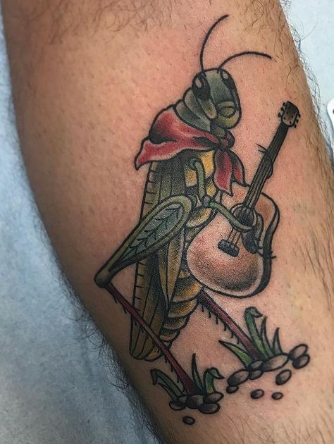 Grasshopper Tattoo Meaning, Grasshopper Tattoo Design, Grass Hopper Tattoo, Grasshopper Tattoo Cute, Grasshopper Drawing, Grasshopper Tattoo, Grasshopper Images, Patience Tattoo, Boxing Gloves Tattoo