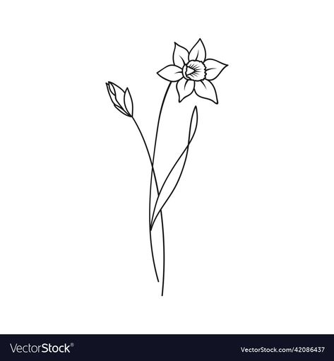 March Birth Flower Tattoo Simple, Daffodil March Tattoo, Fine Daffodil Tattoo, Daffodils Drawing Simple, Birth Month Flower March, Narcissus Flower Line Drawing, Daffodils Flower Drawing, March Birth Month Flower Tattoo, Simple Daffodil Tattoo Design