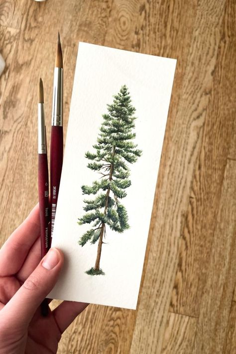 Evergreen Tree Tattoo, Pine Tattoo, Tree Drawing Simple, Pine Tree Drawing, Pine Tree Painting, Pine Tree Tattoo, Tree Species, Tree Sketches, Ponderosa Pine