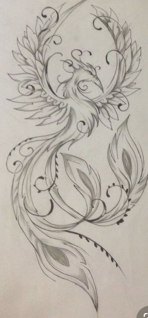 Feminine Phoenix Tattoo, Phoenix Drawing, Phoenix Tattoo Feminine, Phoenix Bird Tattoos, Phönix Tattoo, Tattoo Placements, Kunst Tattoos, Phoenix Tattoo Design, Tattoo Zeichnungen