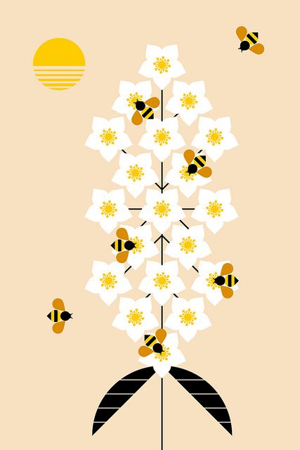 Honey Packaging, I Love Bees, Bee Illustration, Gig Poster, Posca Art, 카드 디자인, Kwazulu Natal, Bee Art, Save The Bees