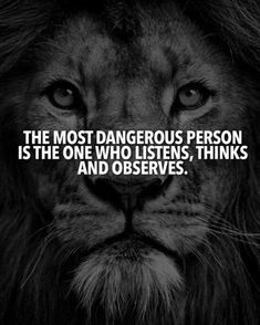 Lion Quotes, Successful Person, Wolf Quotes, Inspirational Quotes With Images, Motivational Stories, Warrior Quotes, Best Inspirational Quotes, Badass Quotes, A Lion