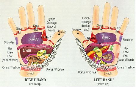 5 Reflexology Secrets Hidden in Palms Sinus Drainage, Hand Reflexology, Lymph Drainage, Back Of Hand, Psoas Muscle, Heart And Lungs, School Communication, Tight Hips, Hip Flexor