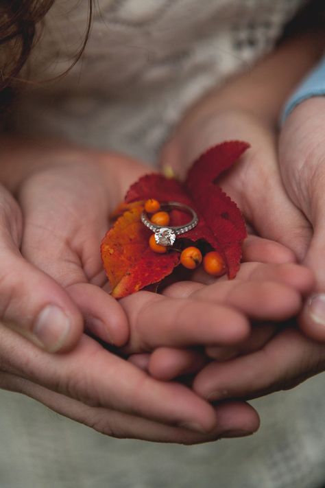 Fall Engagement Ring, Engagement Ring Photography, Fall Engagement Shoots, Country Engagement Pictures, Fall Engagement Pictures, Fall Engagement Photos, Engagement Photos Country, Wedding Engagement Pictures, Outdoor Engagement Photos