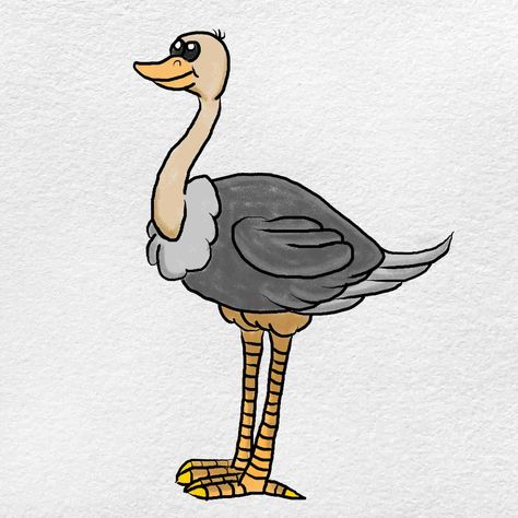 *FR*Ostrich Drawings & Sketches For Kids Cute Ostrich Drawing, Ostrich Sketch, Drawing Sketch For Kids, Ostrich Drawing, Sketches For Kids, Cute Ostrich, Baby Ostrich, Steps To Draw, Feet Drawing