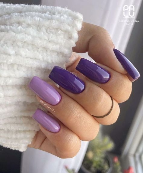 17 Stunning Plain Fall Nail Colors in Purple Purple Designer Nails, Purple Nails Aesthetic Wallpaper, 2 Tone Purple Nails, Multi Colored Purple Nails, Nail Perpul Color, Purple Nails Brown Skin, Dark And Light Purple Nails, Two Toned Purple Nails, Light Purple And Dark Purple Nails