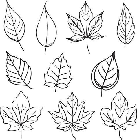 Leaf Sketch Simple, Falling Leaf Tattoo, Leaf Sketch, Drawing Leaves, Leaves Sketch, Falling Leaf, Leaf Tattoo, Leaf Drawing, Wedding People