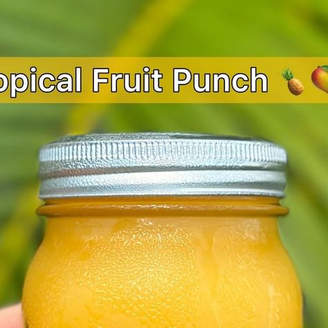 Modesto Joseph Garcia on Instagram: "Tropical Fruit Punch 🍍🥭🍋‍🟩

(Find my juicer for 10% off & my recipe Ebook linked in my bio!) 

This all natural 4 ingredient tropical fruit punch recipe tastes better than any store bought juice I’ve ever had & is packed with different vitamins & minerals that are going to support immune function, improve digestion & increase energy levels ⚡️ Wou try this juice? (Juice these ingredients listed or blend if needed! Recipe yields over a liter of fresh juice!) 💛" Fruit Punch Recipe, Boo Thang, Punch Recipe, Increase Energy, 4 Ingredient, Punch Recipes, Fruit Punch, Fresh Juice, Improve Digestion