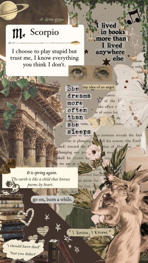 Soft Scorpio Aesthetic, Scorpio Collage Wallpaper, Zodiac Scorpio Aesthetic, Scorpio Phone Wallpaper, Scorpion Zodiac Wallpaper, Scorpio Vibes Aesthetic Wallpaper, Aesthetic Wallpaper Scorpio, November Scorpio Aesthetic, Books Aesthetic Brown