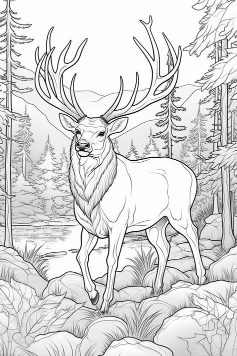 Jungle Coloring Pages, Deer Coloring Pages, Pirate Coloring Pages, Insect Coloring Pages, Farm Coloring Pages, Santa Coloring Pages, Garden Coloring Pages, Deer Drawing, Coloring Pages Winter