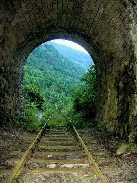 Abandoned Trains, Train Tunnel, Abandoned Train, Old Trains, Old Train, Train Pictures, Abandoned Buildings, Train Tracks, Covered Bridges