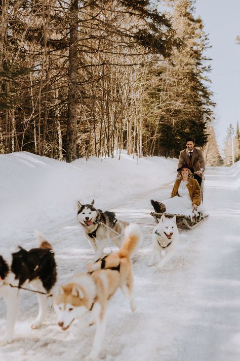 Wedding Ideas Dog, Wedding Ride, Alps Wedding, Boho Winter Wedding, Dog Sleigh, Wanderlust Aesthetic, Banff Winter, Animal Wedding, Bohemian Winter