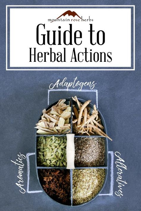 Herbal Actions, Cooking With Turmeric, Mountain Rose Herbs, Herbal Recipes, Herbal Apothecary, Herbal Healing, Diy Remedies, Natural Therapy, Spices And Herbs