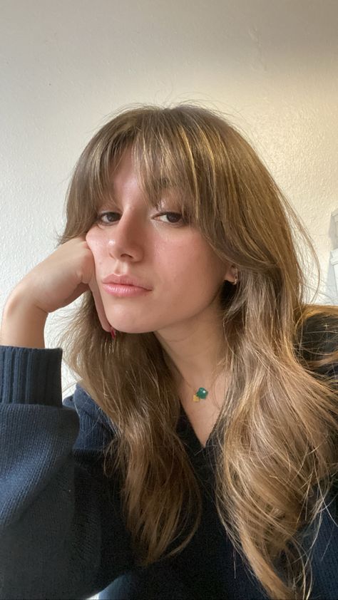 Wispy Bangs With Medium Layered Hair, Brown Hair Wispy Curtain Bangs, Edgy Hair Straight, Brown Hair With Layers And Wispy Bangs, Face Framing Fringe Bangs Long Hair, Loose Fringe Bangs, Semi Curtain Bangs, Cute Haircuts For Big Foreheads, Bangs With Layers Medium Length