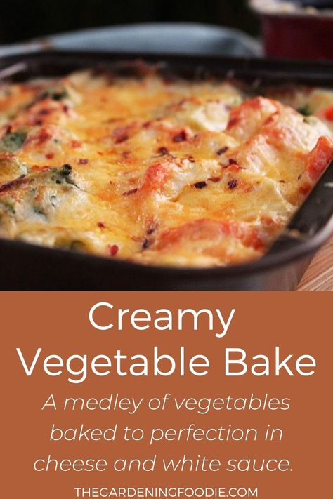 This Creamy Vegetable Bake is a medley of vegetables baked to perfection in cheese and white sauce. It is total indulgence with the goodness of veggies. Creamed Vegetables Side Dishes, Veggies In White Sauce, Vegetable Oven Bake, Creamy Vegetable Bake, Baked Veggies Oven Recipe, Cheese Sauce For Vegetables, Veggie Casserole Recipes, Oven Baked Vegetables, Chicken And Vegetable Bake