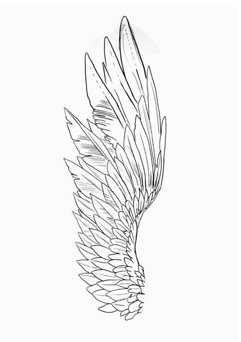 Wing Tatoos Men, Angel Wings Sketch, Eagle Wings Tattoo, Wing Stencil, Wing Tattoo Arm, Eagle Wing Tattoos, Claddagh Tattoo, Eagle Head Tattoo, Winged Stencil