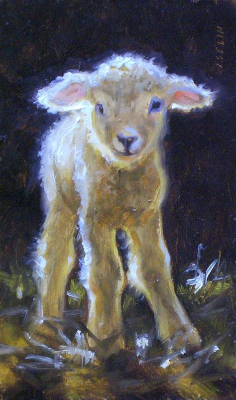 "Wobbly but Willing"  Lamb: Lamb Farm, Hare Pictures, Farm Animal Paintings, Easter Drawings, Sheep Paintings, Sheep Art, Counting Sheep, Prophetic Art, Baby Lamb