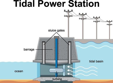 Tidal Power, Tidal Energy, Water Turbine, Renewable Energy Technology, Green Jobs, Future Energy, Making Water, Clean Technology, Energy Resources