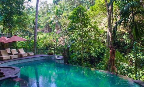 infinity pool svarga loka wellness resort ubud bali Bali Retreat, Bali Yoga, Healing Retreats, Wellness Resort, Spiritual Retreat, Tropical Resort, Surf Trip, Beach Town, Infinity Pool