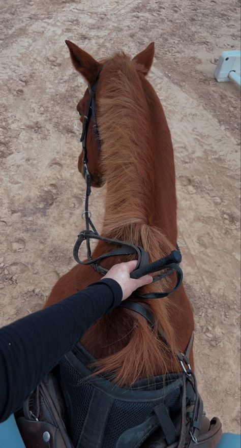 Hourse Ride Girl, English Rider Aesthetic, English Horseback Riding Aesthetic, English Equestrian Aesthetic, Red Horse Aesthetic, Horse Riding Aesthetic Girl, English Girl Aesthetic, Chestnut Horse Aesthetic, English Horse Riding Aesthetic