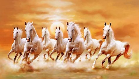 Seven Horses Wallpapers - Wallpaper Cave Running Horse Wallpaper For Phone, 7 Horses Running Painting Vastu Wallpaper, Seven Horses Painting, Seven Horses, Horses Wallpaper, White Horse Painting, Horses Painting, Ed Wallpaper, Horse Background