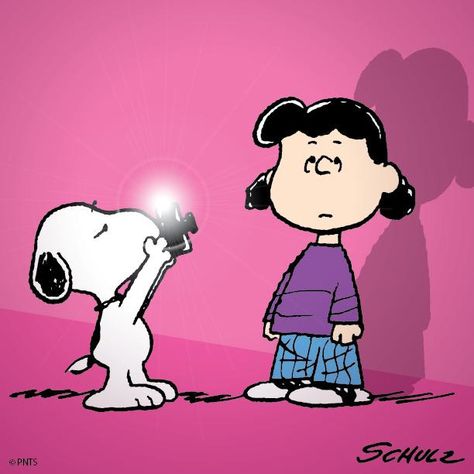 Peanut Pictures, Lucy Van Pelt, Snoopy Cartoon, Peanuts Comic Strip, Peanuts Cartoon, Puppy Art, Peanuts Characters, Snoopy Wallpaper, Snoopy Pictures