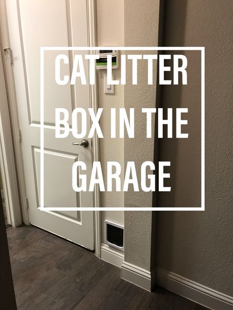 Hidden Litter Boxes Diy, Cat Door Wall, Litter Box Diy, Cat Litter Box Diy, Cat Litter Cabinet, Hiding Cat Litter Box, Diy Litter Box, Hidden Litter Boxes, Litter Robot