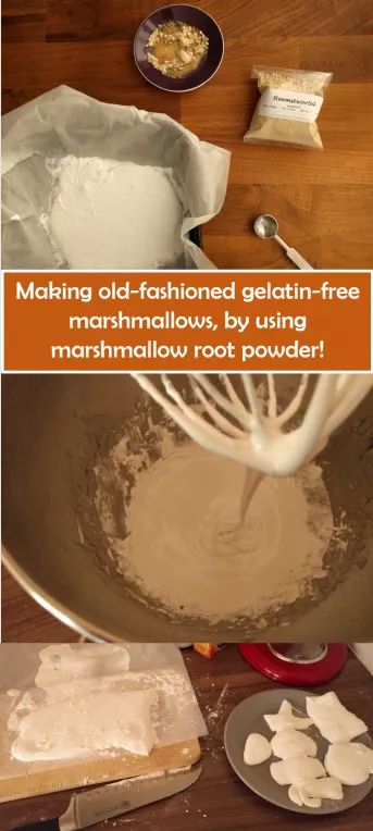 Real Marshmallow Recipe, Marshmallow Root Benefits, Gelatin Free Marshmallows, Vegetarian Marshmallows, Marshmallow Root Powder, Healthy Marshmallows, Homemade Marshmallow Recipe, How To Make Marshmallows, Vegan Marshmallows