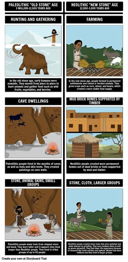 Early Humans Paleo vs. Neolithic Comparision Storyboard Early Humans Tools, Early Humans History, Neolithic Revolution, Paleolithic Period, Paleolithic Art, Neolithic Period, Early Humans, Backyard For Kids, Stone Age