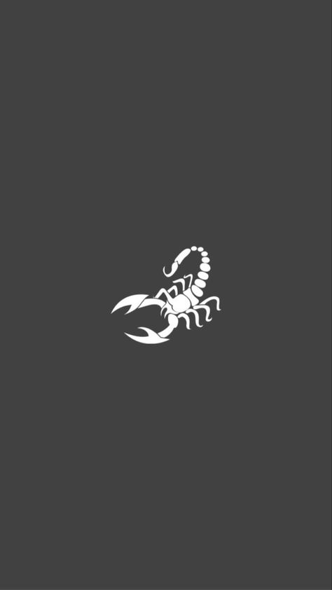 Scorpion Art Design, Scorpion Aesthetic, Carrot Tattoo, Scorpion Wallpaper, Scorpio Wallpaper, Anime Tattoo Designs, Aesthetic Animals, Scorpio Art, Steven Universe Wallpaper