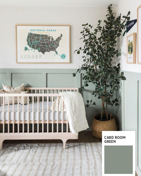 Green Kids Rooms, Nursery Paint, Nursery Themes Neutral, Outdoor Nursery, Green Nursery, Baby Room Design, Room Deco, Nursery Baby Room, Neutral Nursery