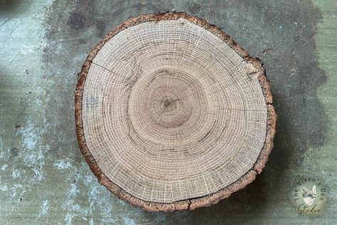 DIY Natural Food Safe Wood Slice Centerpieces - The Vixen's Den Studio Wood Slice Centerpieces, Expand Furniture, Disc Style, Wood Disc, Diy Centerpieces, Hemp Seed Oil, Diy Natural Products, Wood Slices, Party Shop