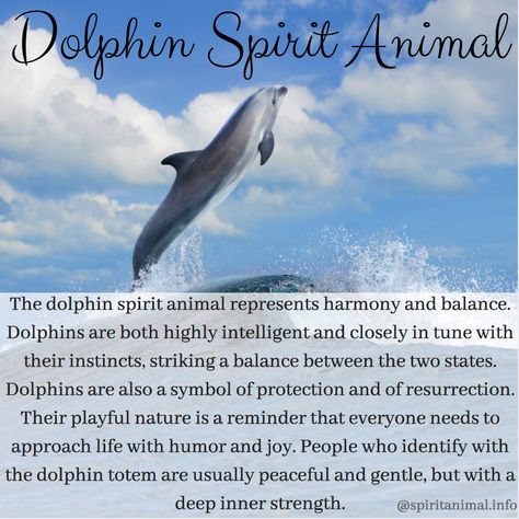 Spiritual Meaning of Dolphin Dolphin Meaning, Dolphin Symbolism, Dolphin Tattoo Meaning, Dolphin Quotes, Spirit Animal Meaning, Dolphins Tattoo, Dolphin Lover, Animal Spirit Guide, Animal Meanings