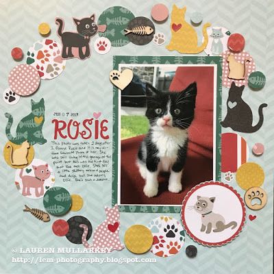 Echo Park Layouts, Dog Scrapbook Layouts, Cat Scrapbook, Pet Scrapbook Layouts, Family Scrapbook Layouts, Dog Scrapbook, Pet Scrapbook, Halloween Scrapbook, Scrapbook Layout Sketches