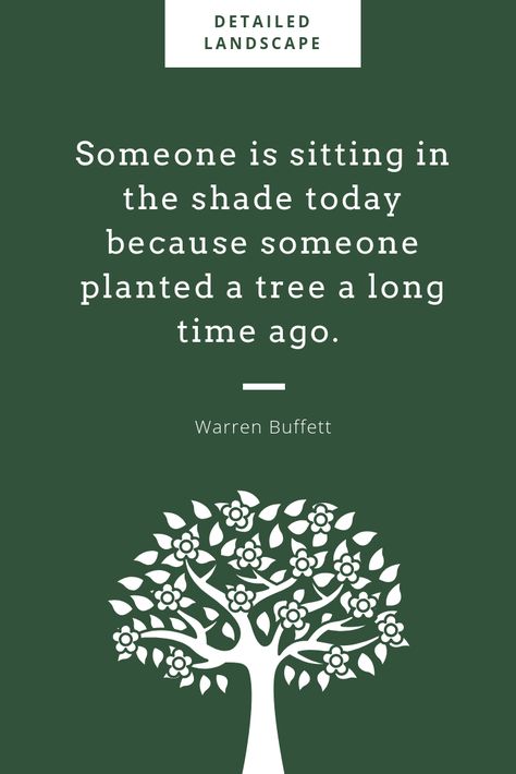 tree quote Planting Trees Quotes, Champ Quotes, Plant A Tree Quote, Tree Planting Quotes, Giving Tree Quotes, Trees Quotes, Importance Of Trees, Tree Quotes, Plants Quotes