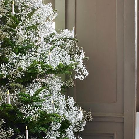 Homes & Gardens on Instagram: "Do you want to try something new this year with your Christmas decor? How about decorating your tree with flowers instead of the usual ornaments, like this beautiful tree we decorated with gypsophila flowers 🌸 Floral design by @julietglaves, photography by @pollywreford, styling by @sallydenningstylist . #homesandgardens #christmastree #decorating #gypsophila #babysbreath #christmasdecor" Christmas Tree Pearl Decorations, Snowy Tree Christmas, Christmas Trees With Baby’s Breath, Flower Christmas Decoration, Diy Pearl Decor, All White Ornament Christmas Tree, Chic Christmas Tree Decor, Gypsophila Christmas Tree, Babies Breath Christmas Tree