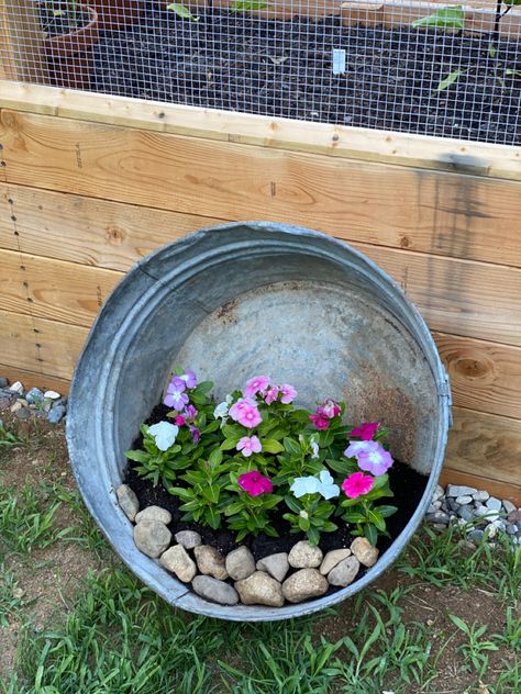 Old Wash Tub Ideas, Potato Vines, Flower Bed Ideas, Tub Ideas, Wash Tubs, Bed Ideas, Flower Bed, Yard Ideas, Petunias