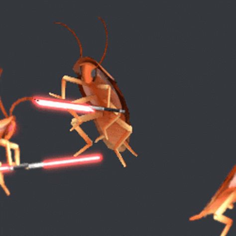 Cockroach Star Wars GIF - Cockroach StarWars LightSaber - Discover & Share GIFs Cockroach Funny, Star Wars Gif, Star Wars Light, Star Wars Light Saber, Dancing Gif, Funny Films, Aesthetic Gif, Lightsaber, Gothic Lolita