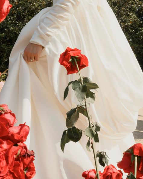 Alana, the red rose. ❤️ wp @carlakisslerevents video @ankerprod second photographer @arnausentenach dress @alonlivnewhite flowers @gangandthewool Aurora Rose, Rose Aesthetic, Rosé Aesthetic, Eye Photography, July 17, Red Rose, Red Roses, Muse, Aurora